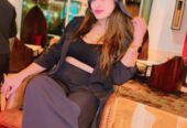 COD 9911998069 Call Girls In Civil Lines Delhi NCR