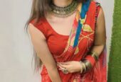 +91 7289909544 Timarpur (Delhi) Call Girls and Escort Services